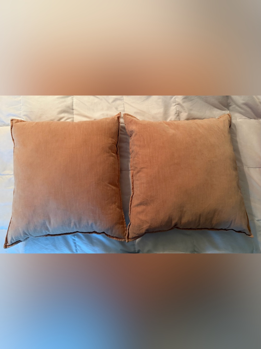 Threshold Peach Velvet Decorative Throw Pillows - Set of 2